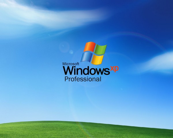 XP живее всех живых и популярнее Windows 8