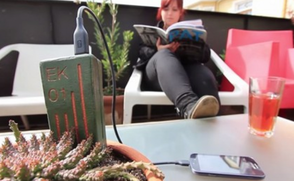 E-Kaia заряжает смартфоны с помощью растений