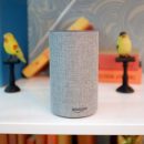 Аmazon вводит голосовое управление в свое приложение Alexa для Android